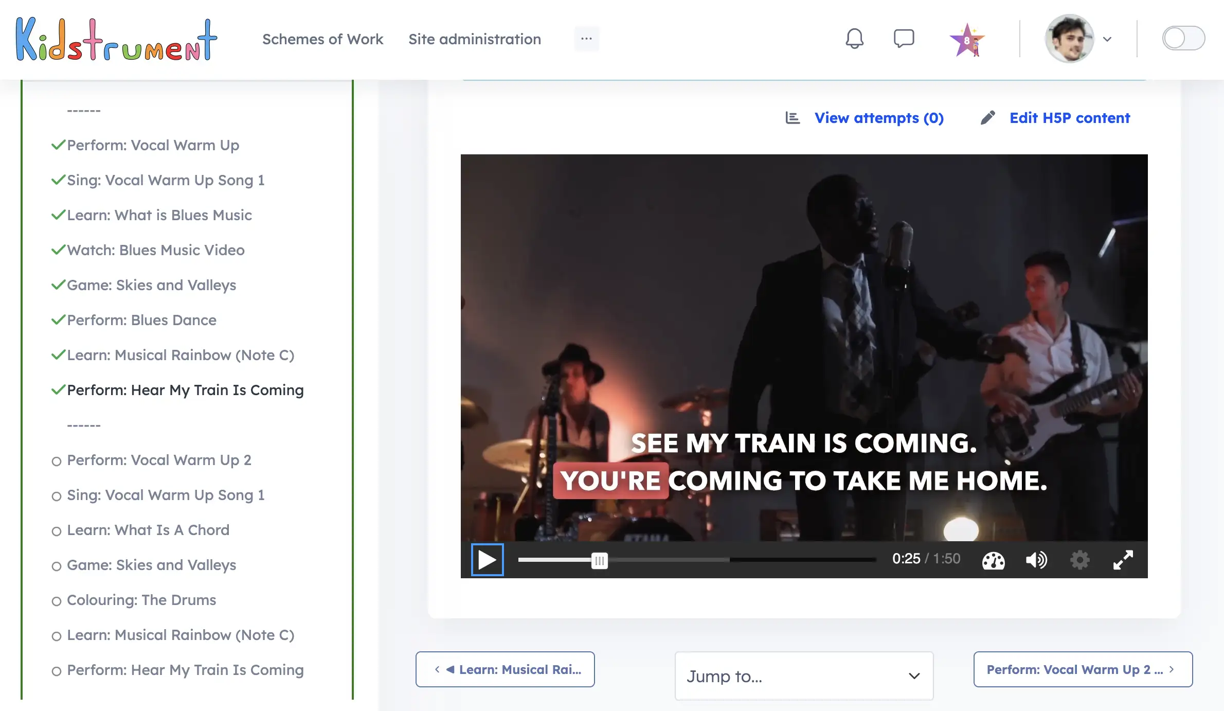 Year 2 music curriculum overview with Blues focus