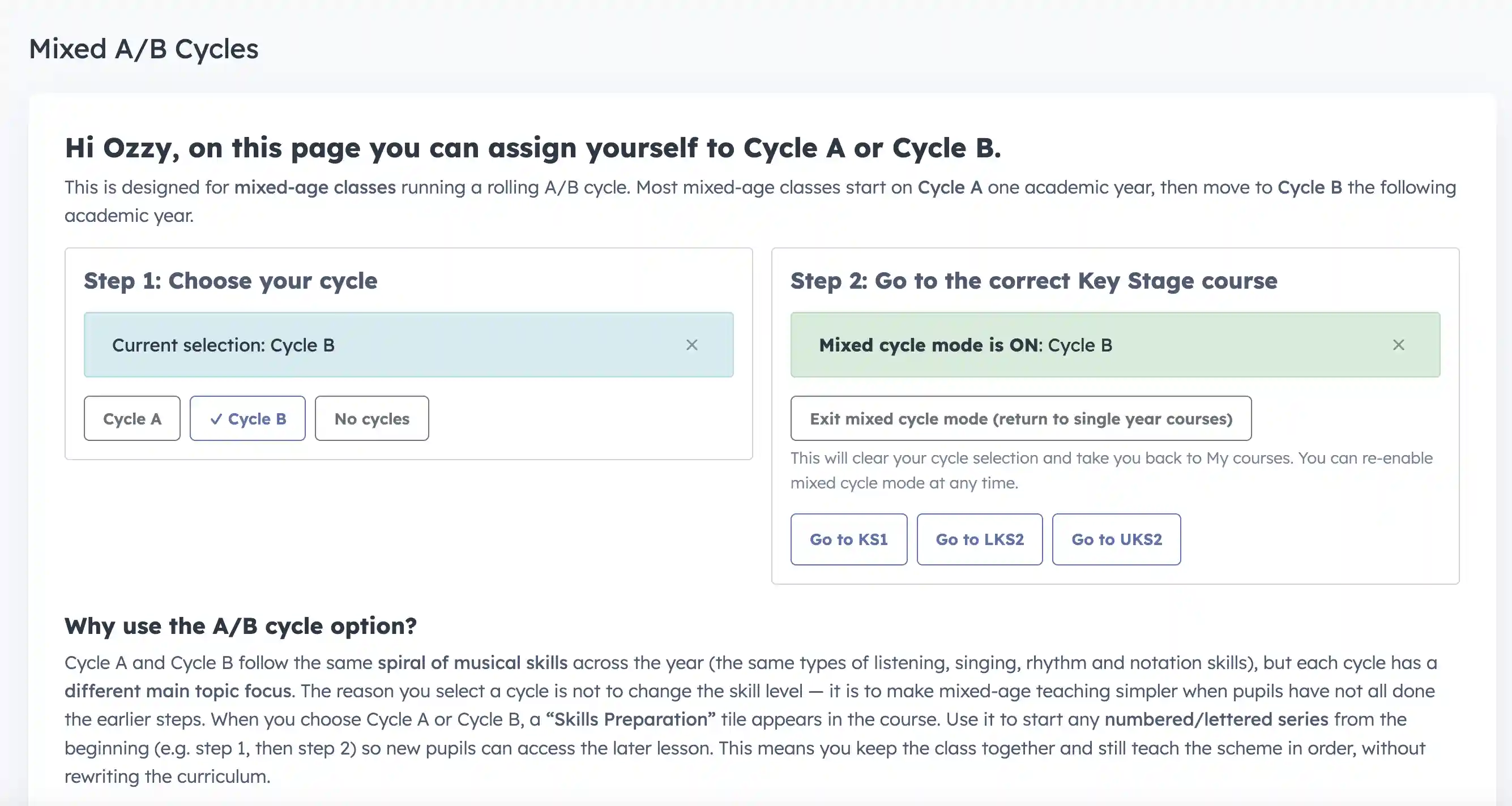Mixed-age spiral learning overview